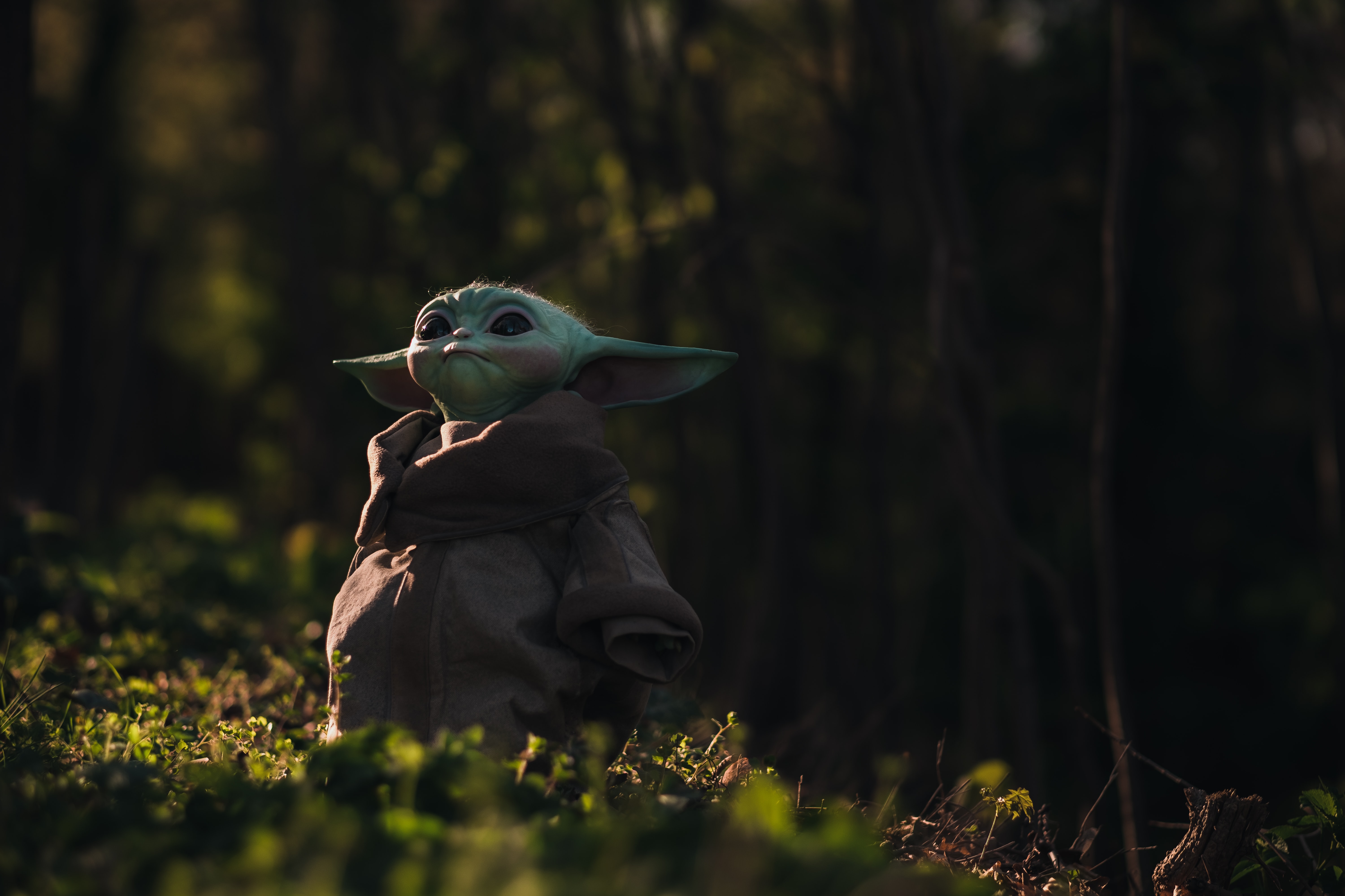 image of baby yod staring up at the sky